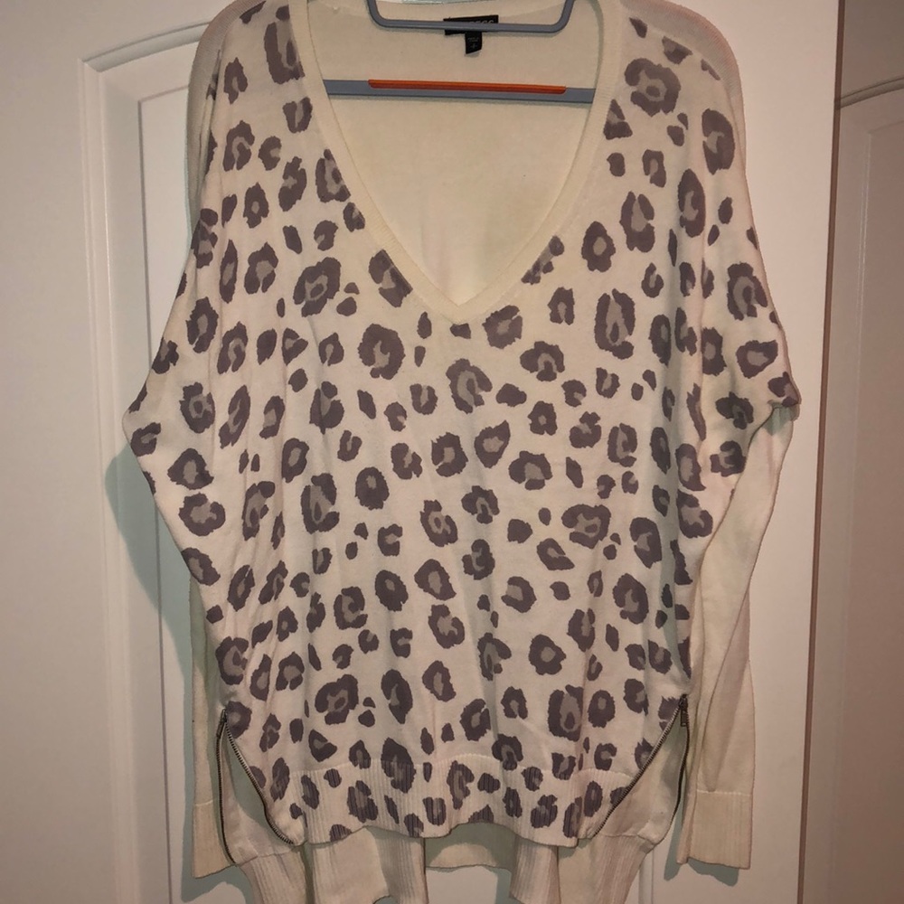 Express V-neck Leopard Print Sweater